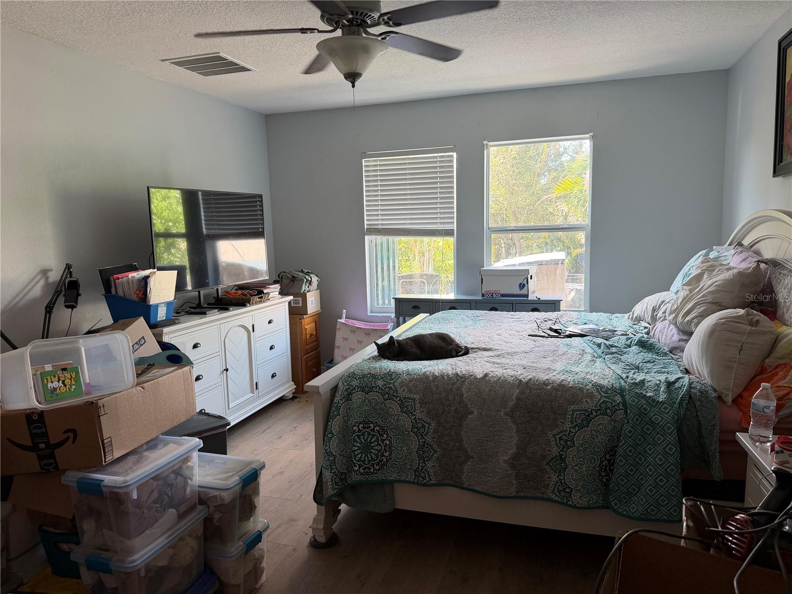 17103 WHITE MANGROVE DR — photo 9