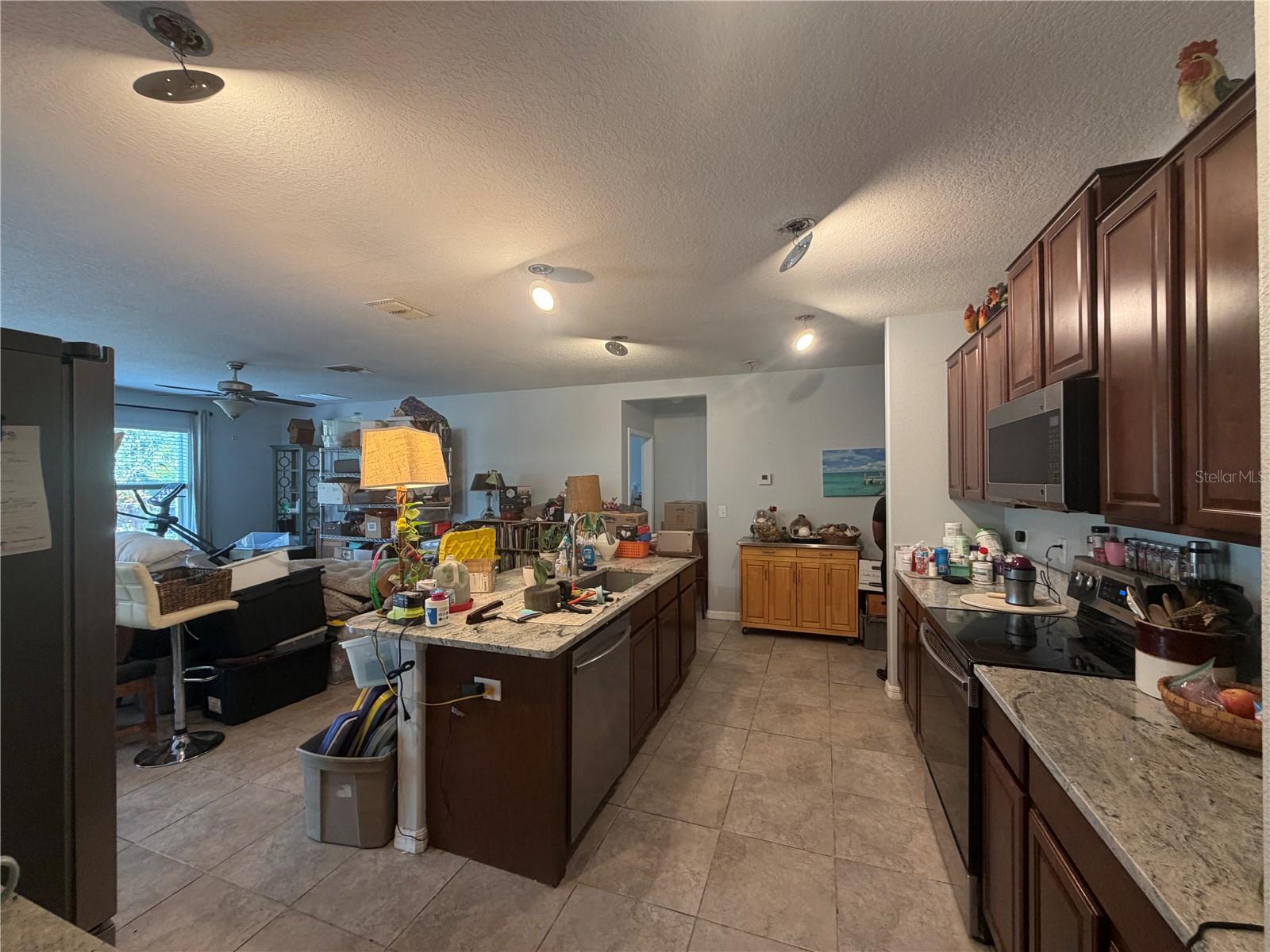 17103 WHITE MANGROVE DR — photo 6