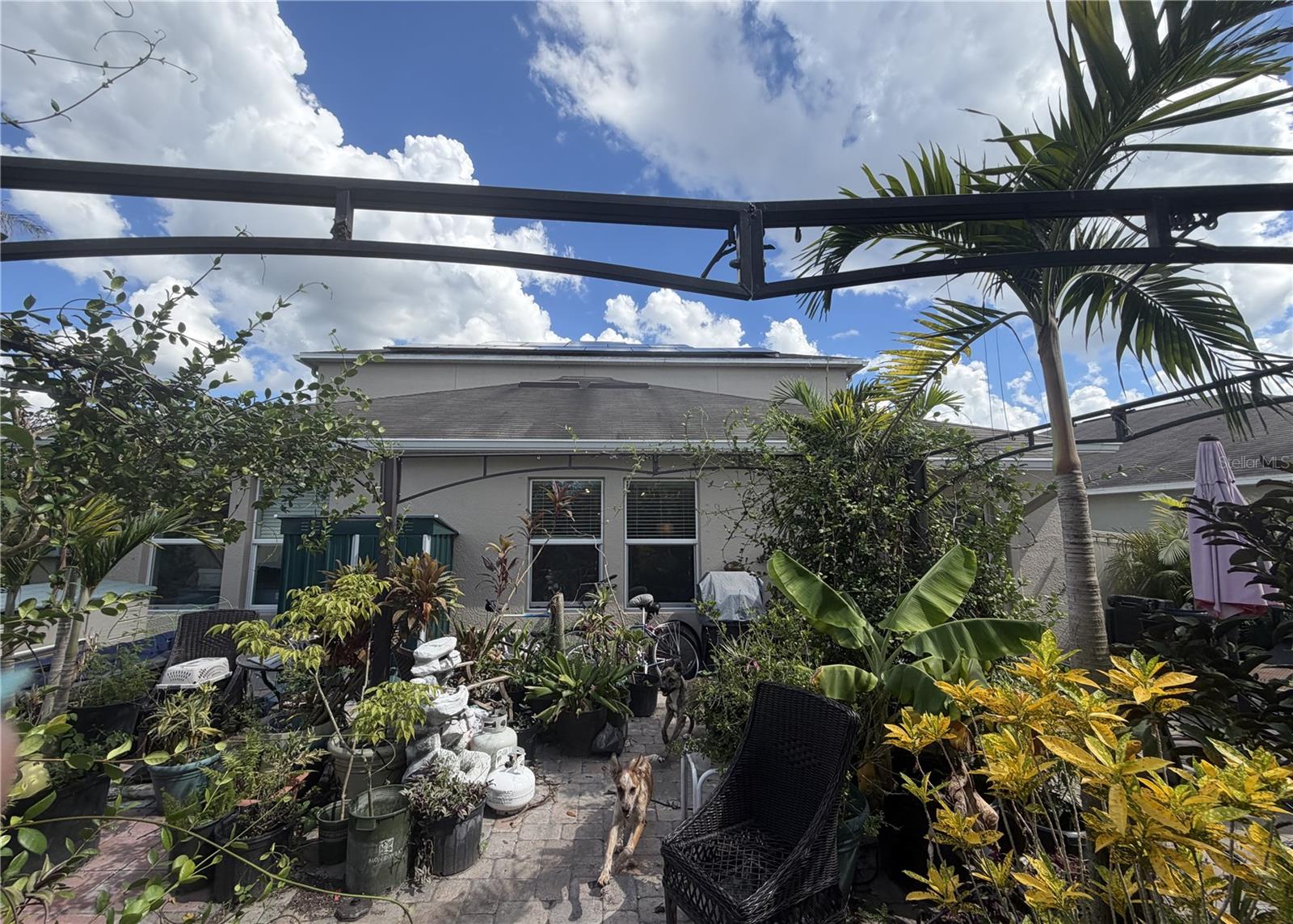 17103 WHITE MANGROVE DR — photo 4