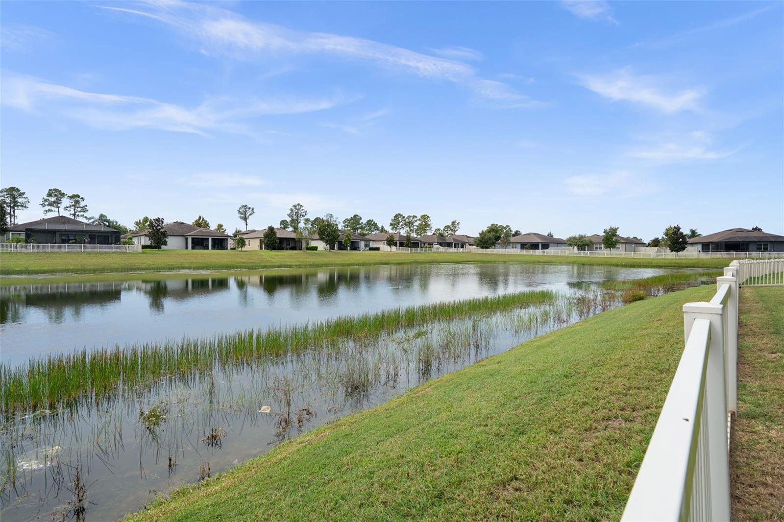 18730 CORTES CREEK BLVD — photo 45