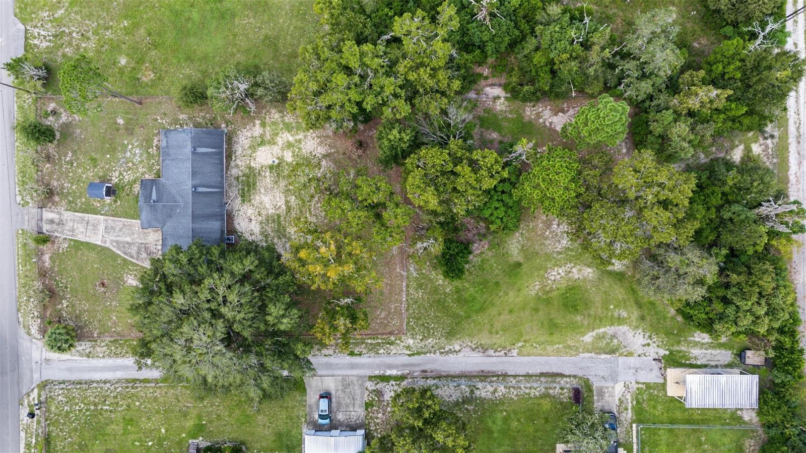 10025 CHESTNUT DR — photo 36