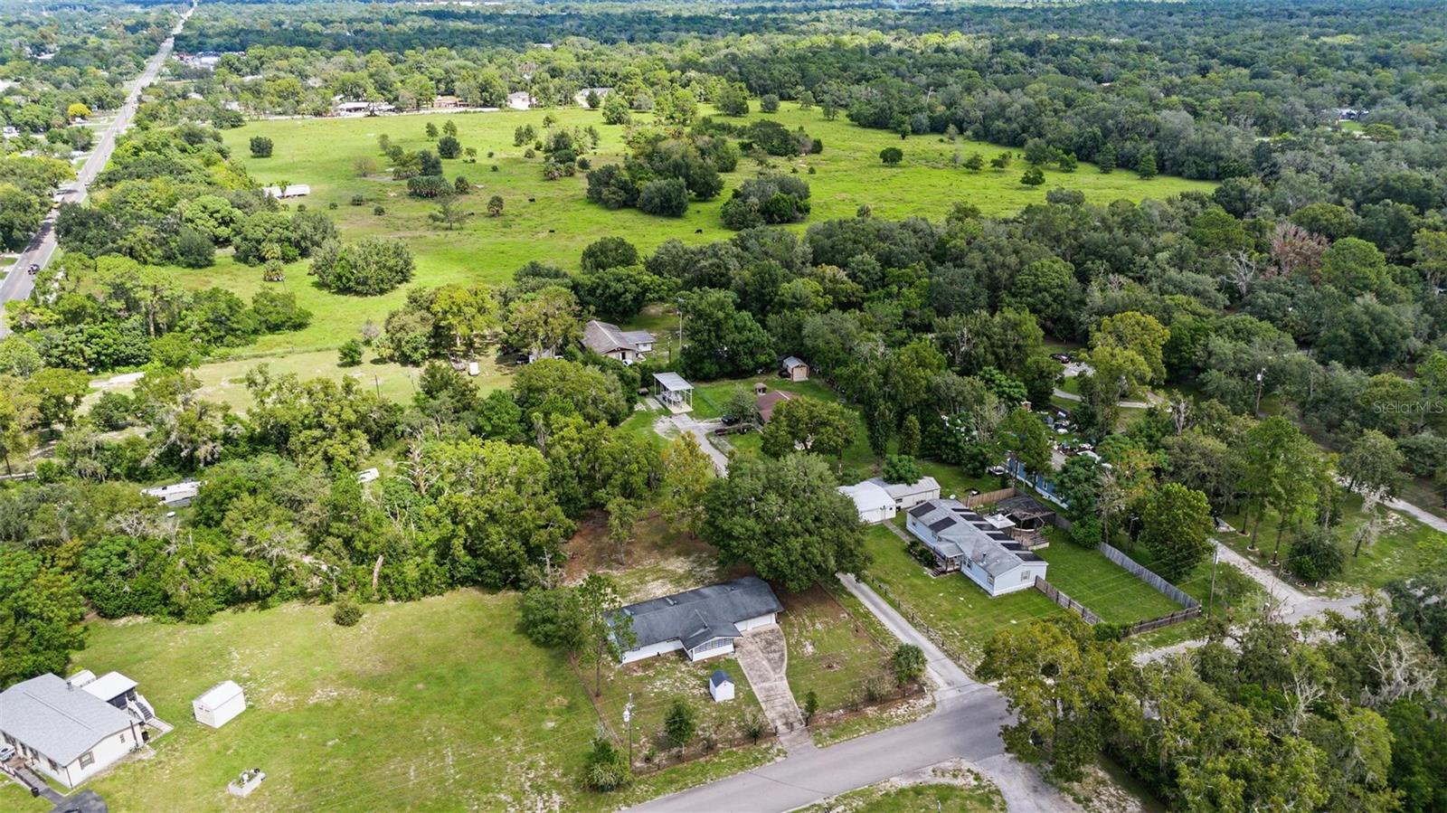 10025 CHESTNUT DR — photo 33