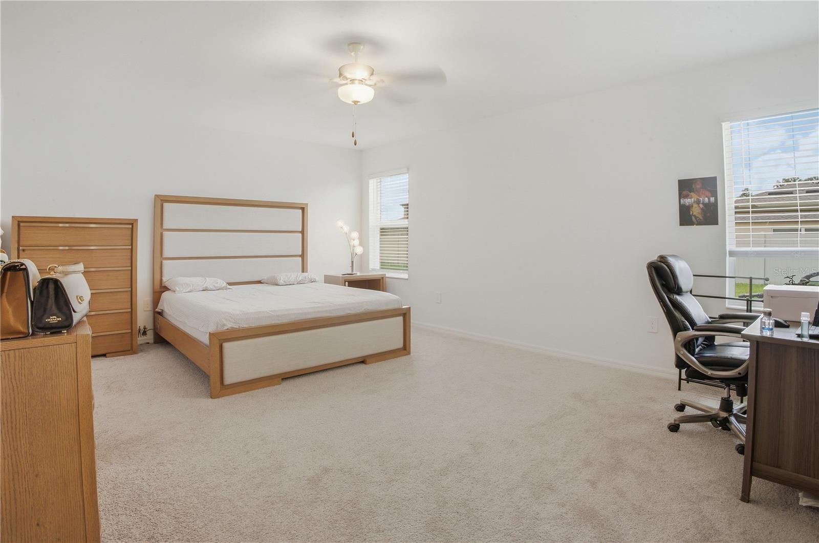 22188 CALISTO WAY — photo 10