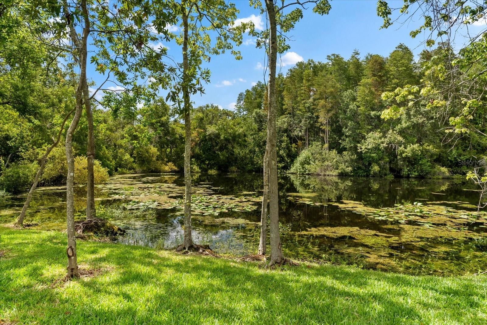 5341 LAKE PEARL CT — photo 92