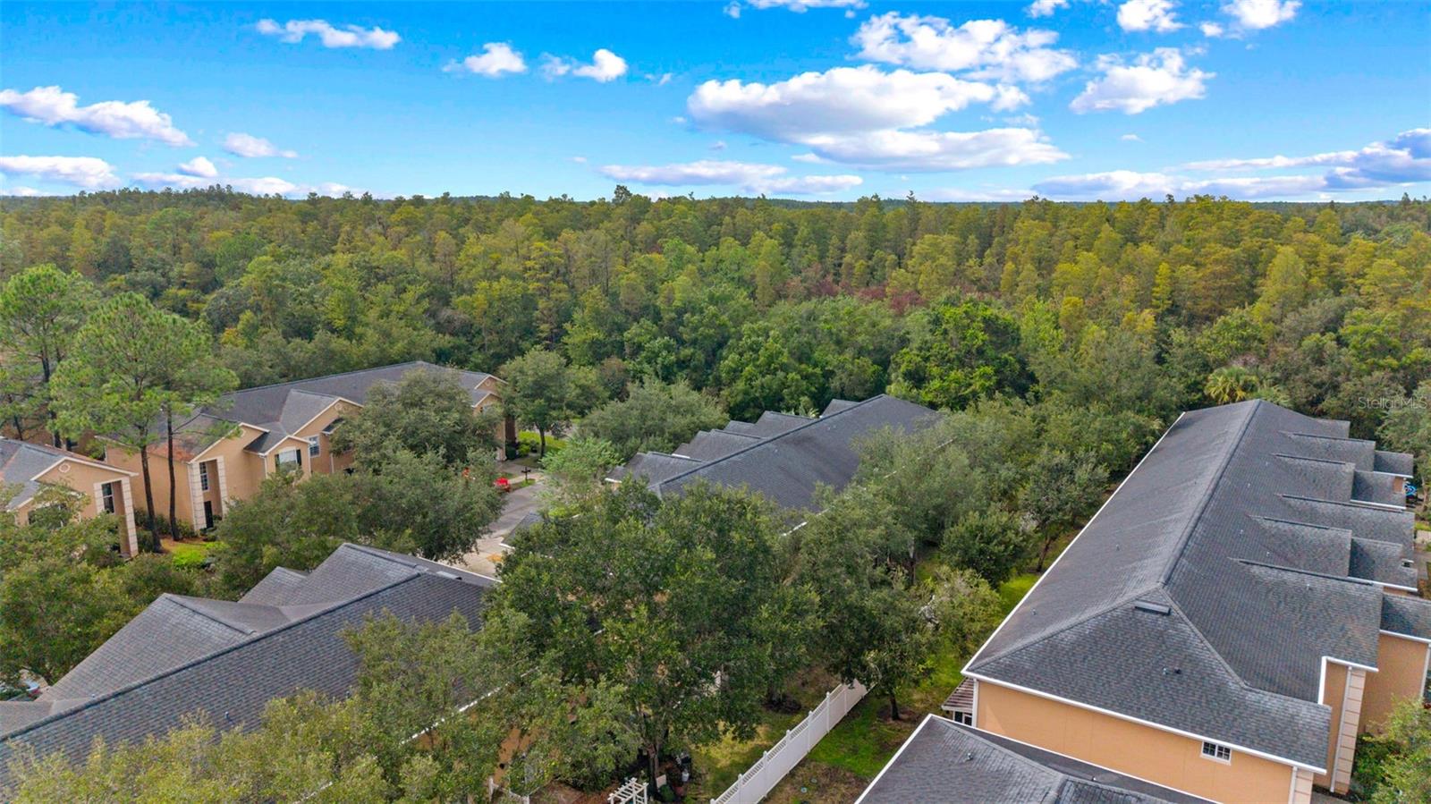 16309 NEWBURY PALMS CT — photo 41