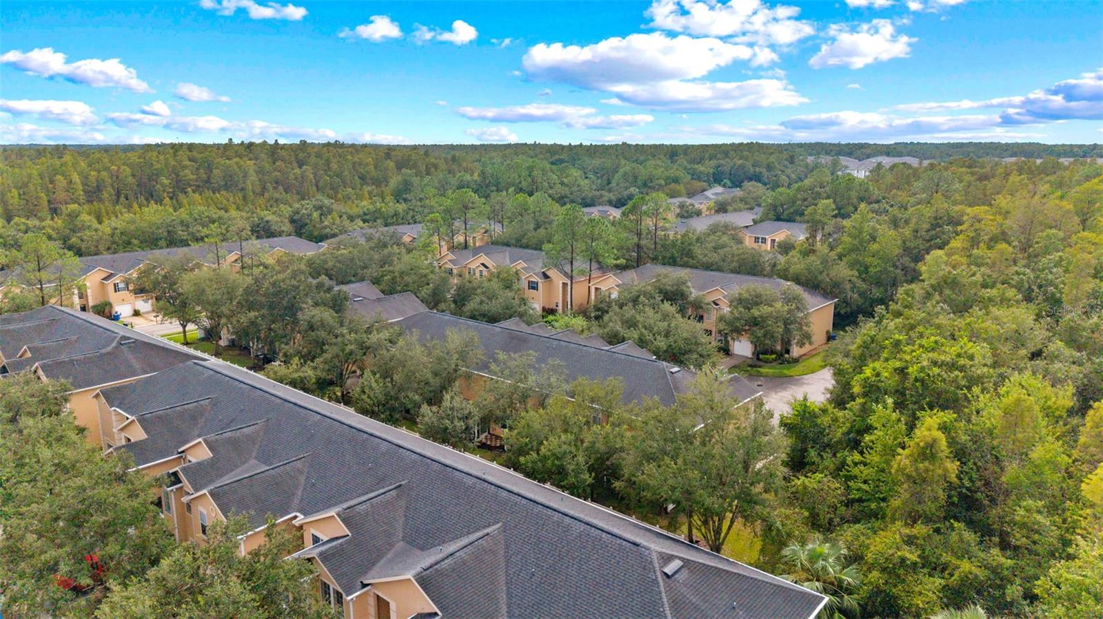 16309 NEWBURY PALMS CT — photo 42