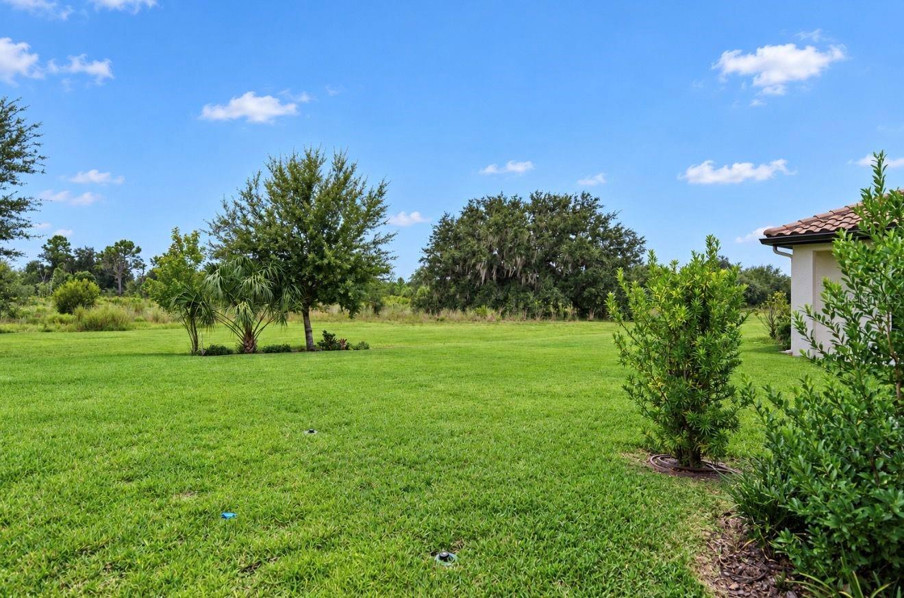 14537 SWISS BRIDGE DR — photo 33