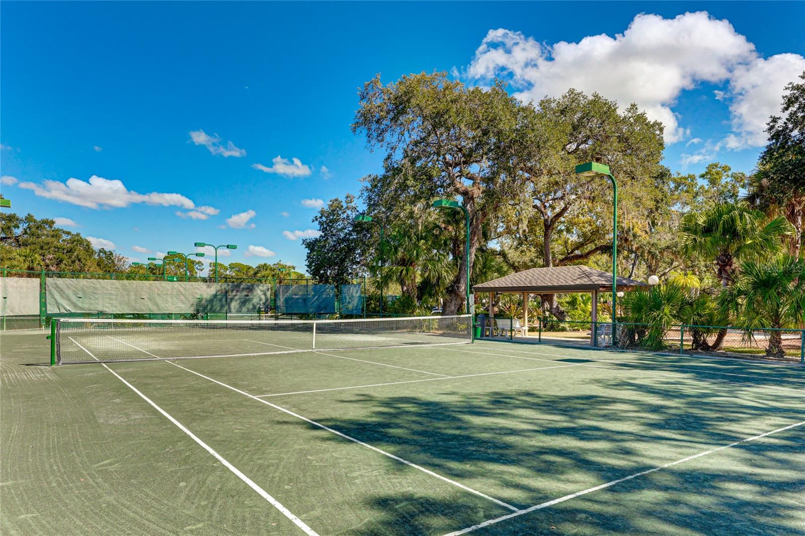 5610 SHEFFIELD GREENE CIR #6 — photo 44