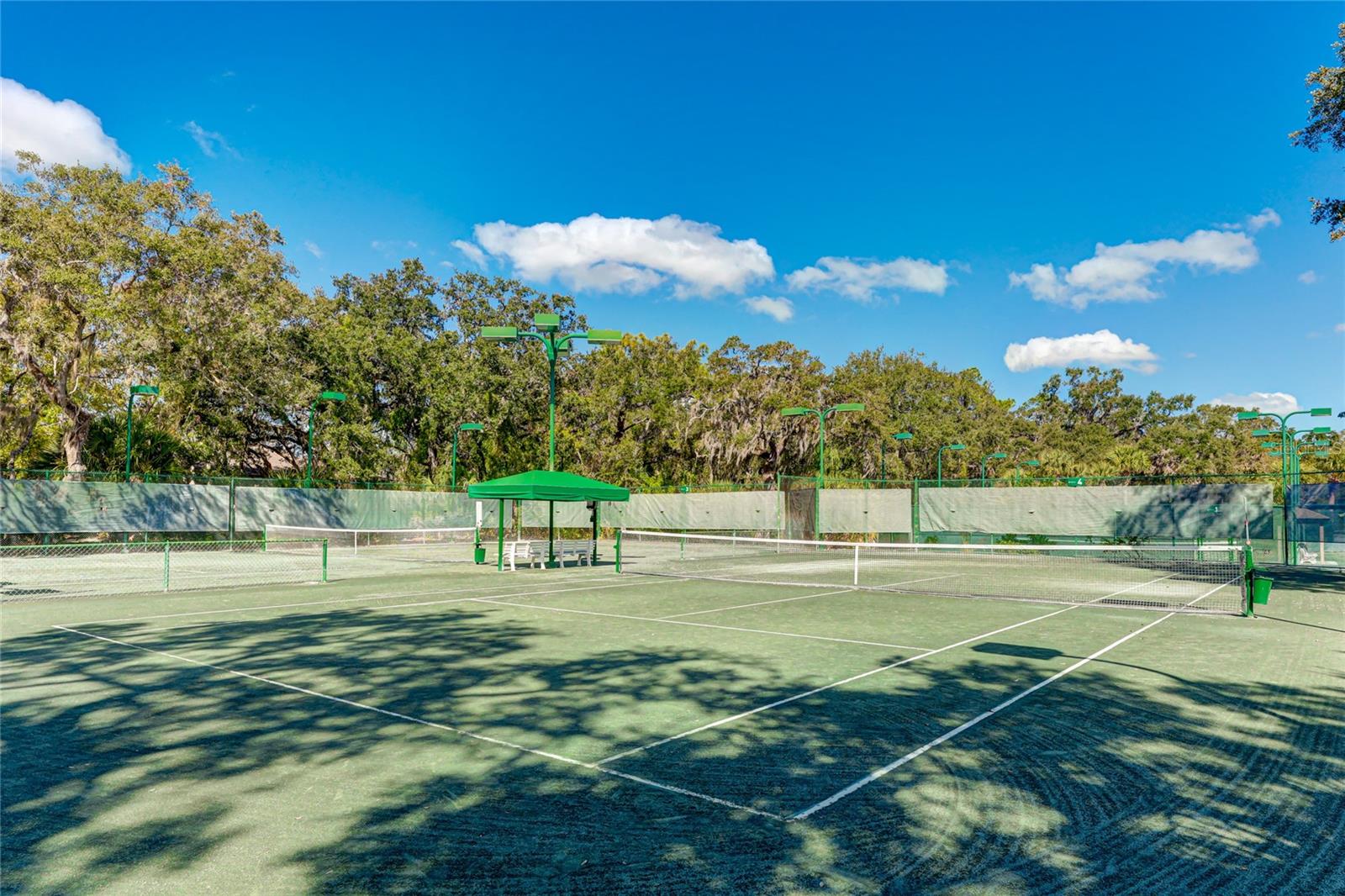 5610 SHEFFIELD GREENE CIR #6 — photo 43