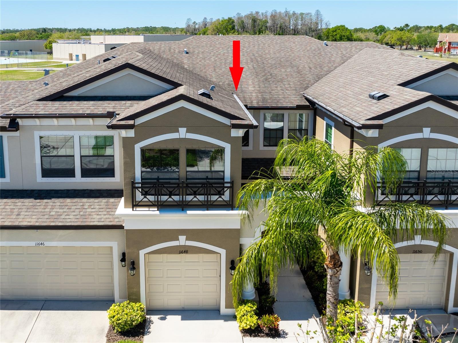 11648 CROWNED SPARROW LN — photo 30