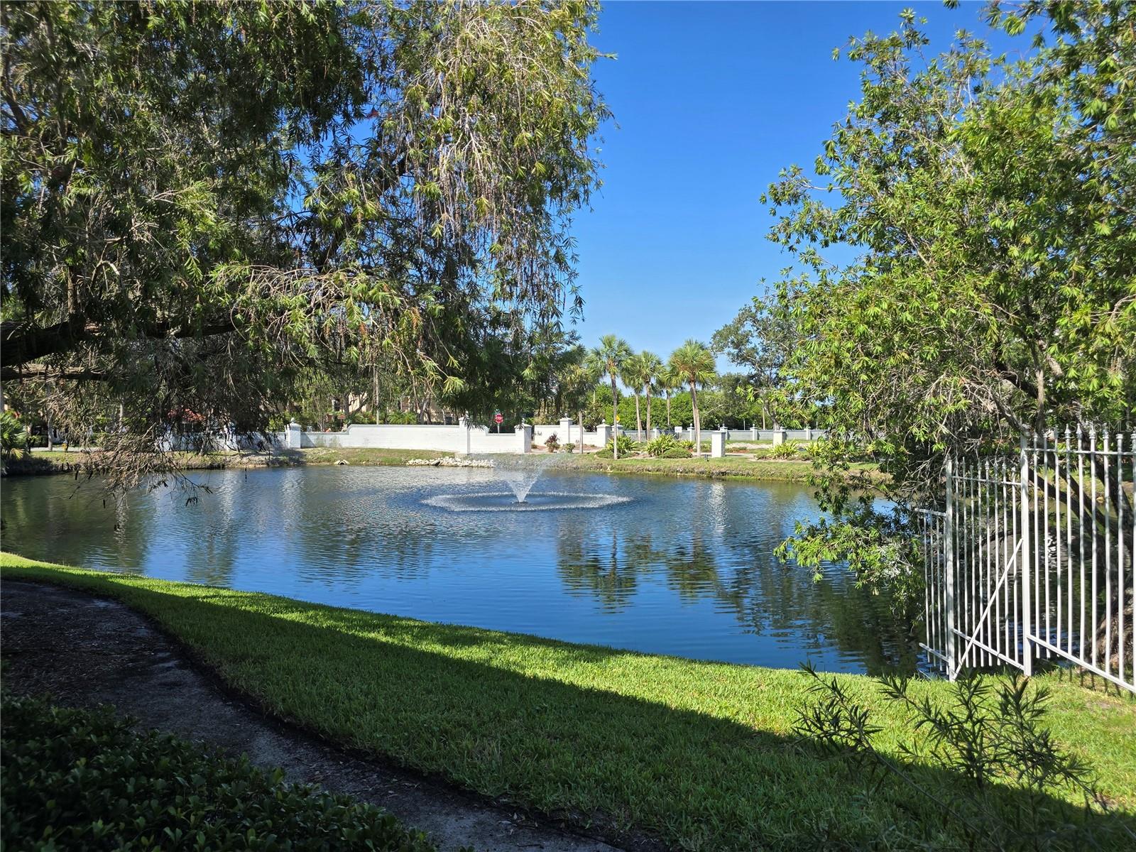 2333 FEATHER SOUND DR #C210 — photo 37