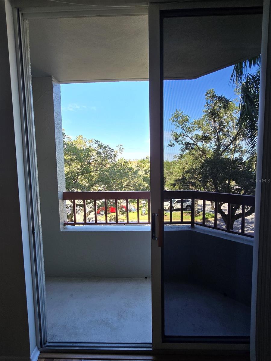 2333 FEATHER SOUND DR #C210 — photo 14