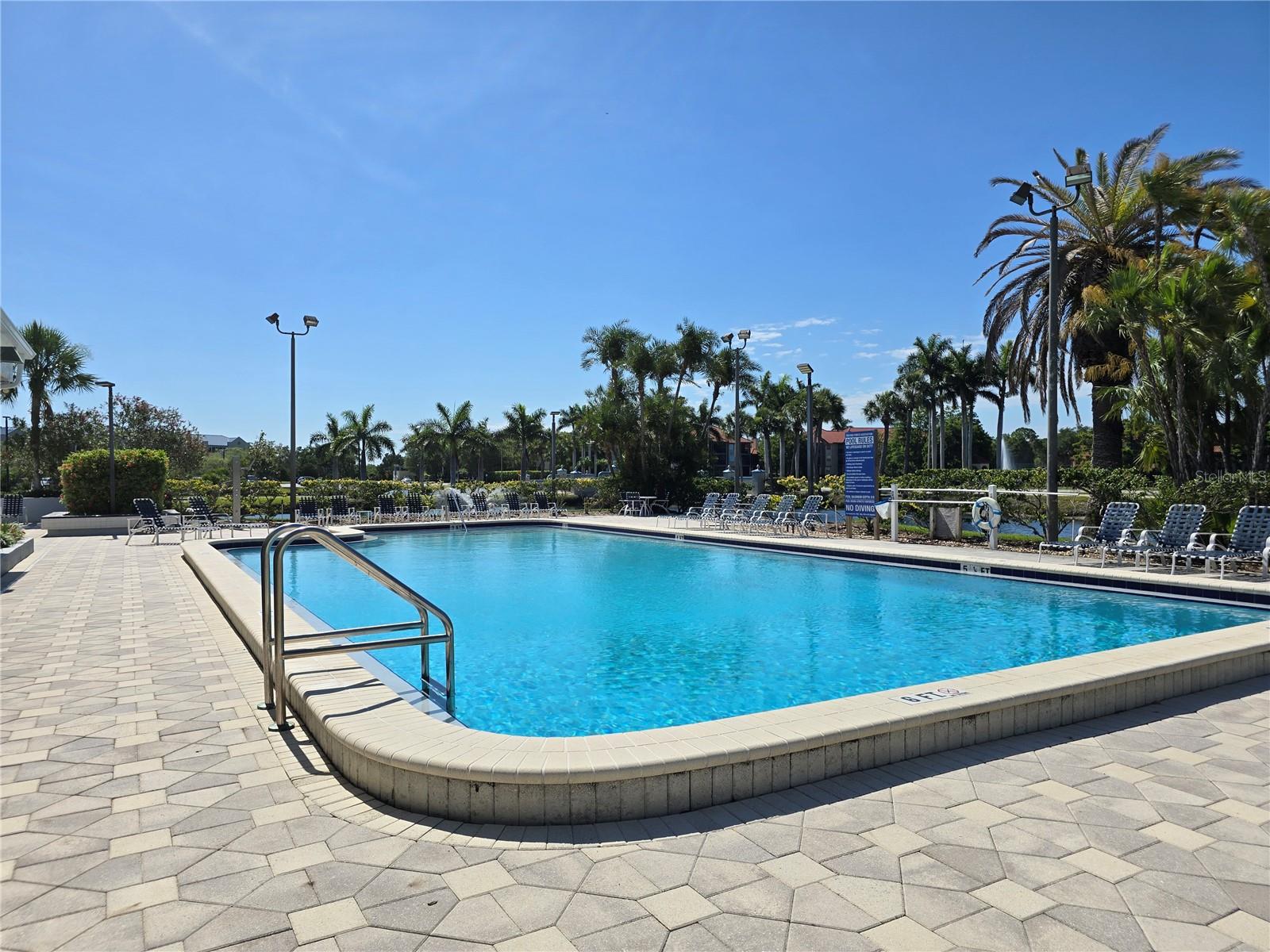 2333 FEATHER SOUND DR #C210 — photo 36