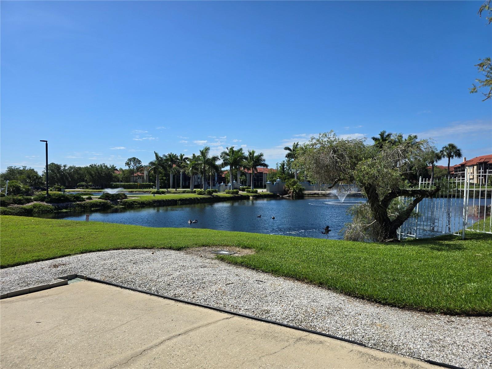 2333 FEATHER SOUND DR #C210 — photo 44