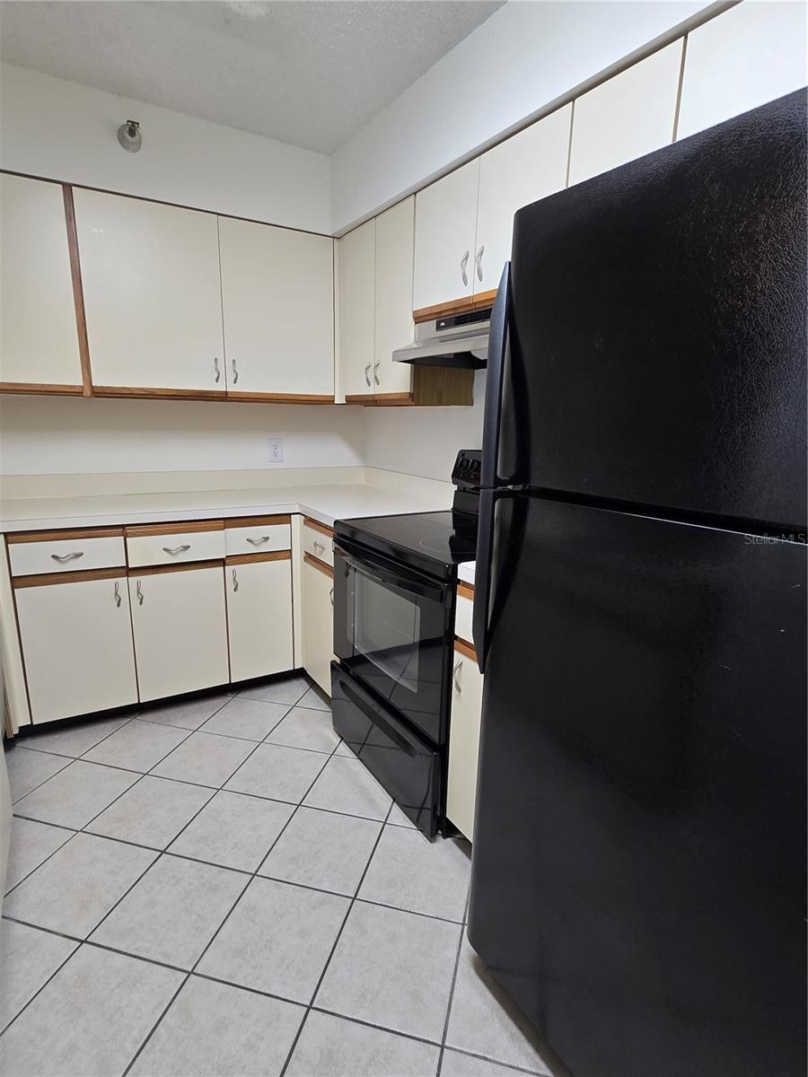 2333 FEATHER SOUND DR #C210 — photo 6