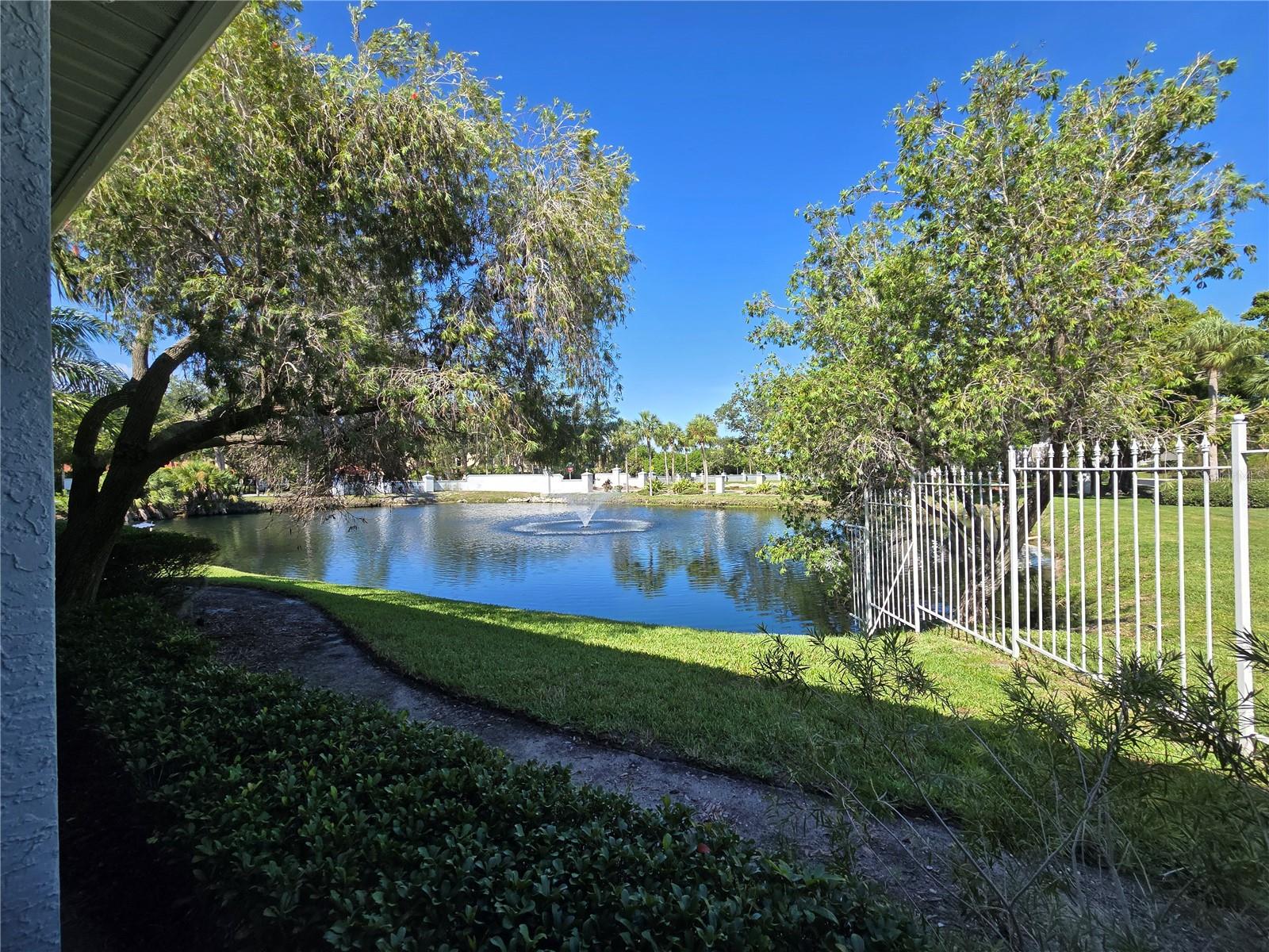 2333 FEATHER SOUND DR #C210 — photo 38