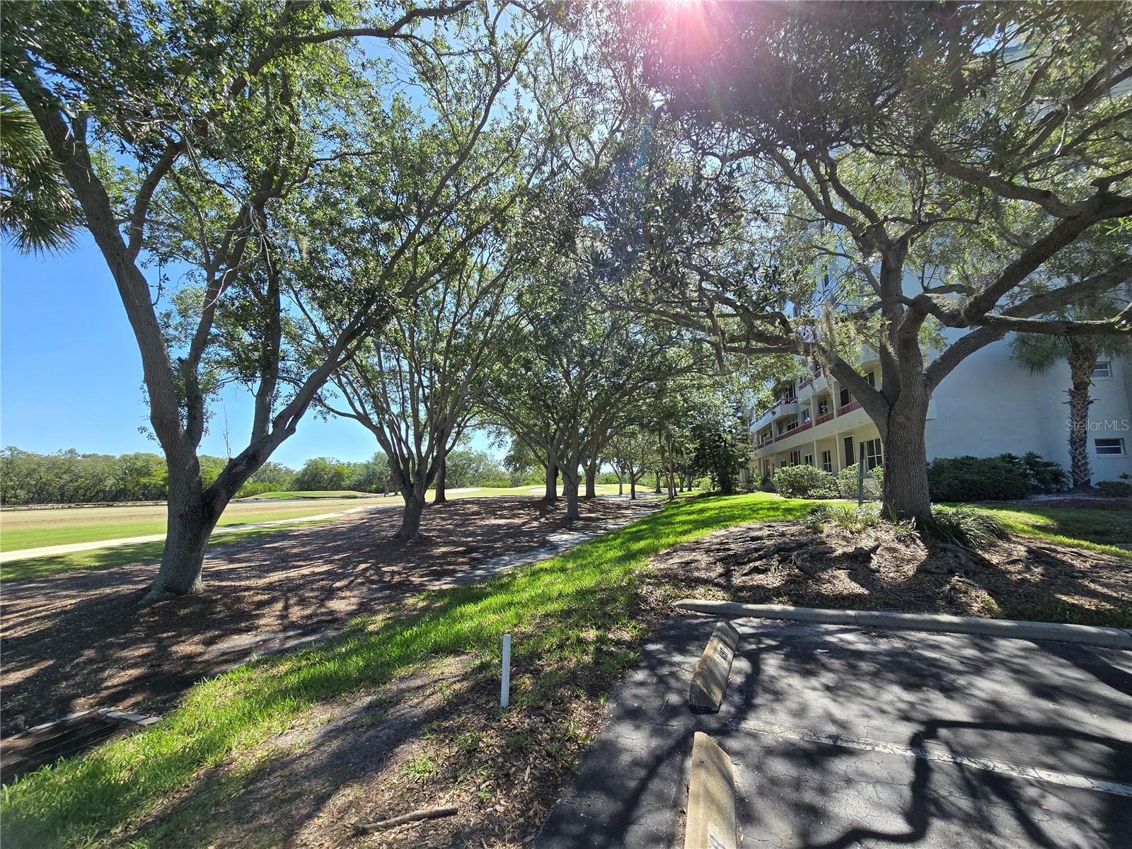 2333 FEATHER SOUND DR #C210 — photo 46