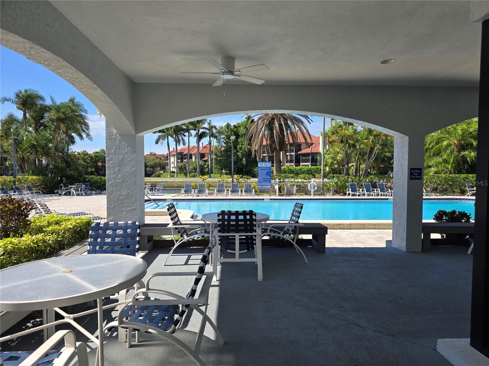 2333 FEATHER SOUND DR #C210 — photo 40