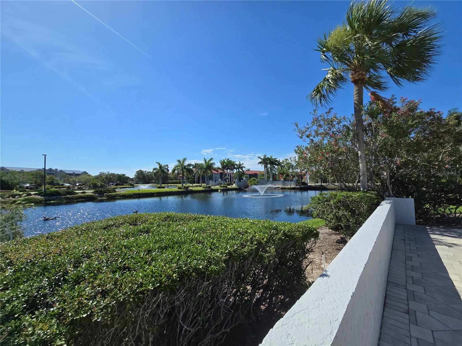 2333 FEATHER SOUND DR #C210 — photo 27