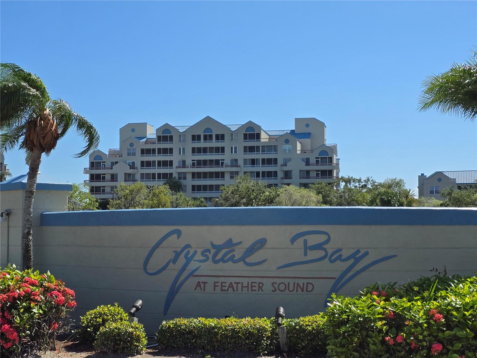 2333 FEATHER SOUND DR #C210 — photo 47