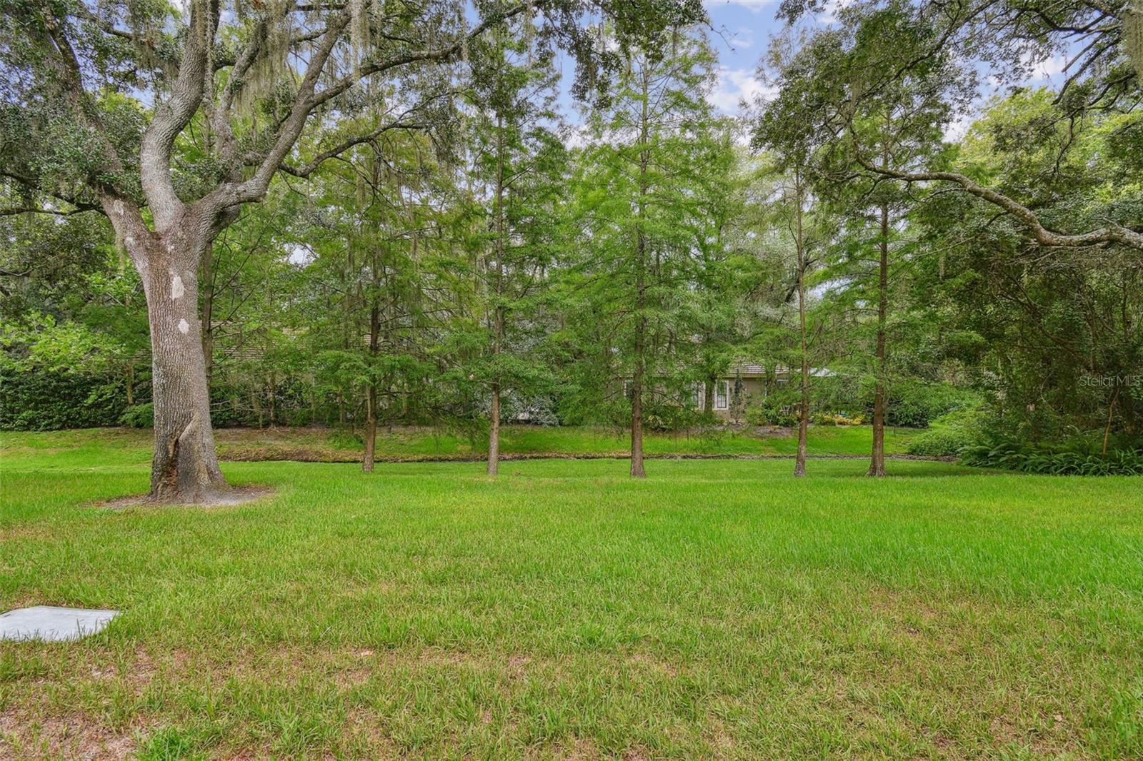 5100 BURCHETTE RD #1804 — photo 58