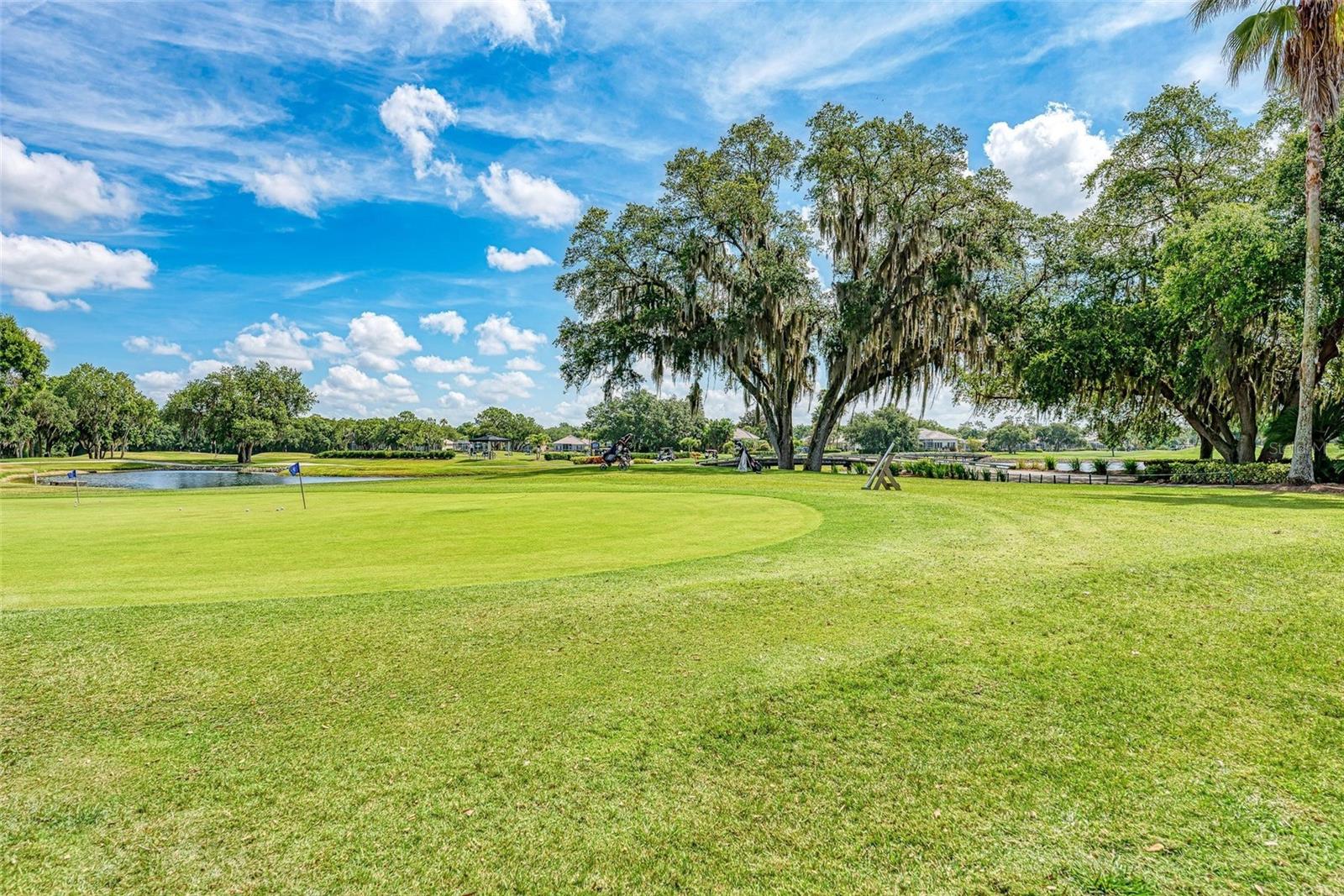 5133 96TH ST E — photo 59