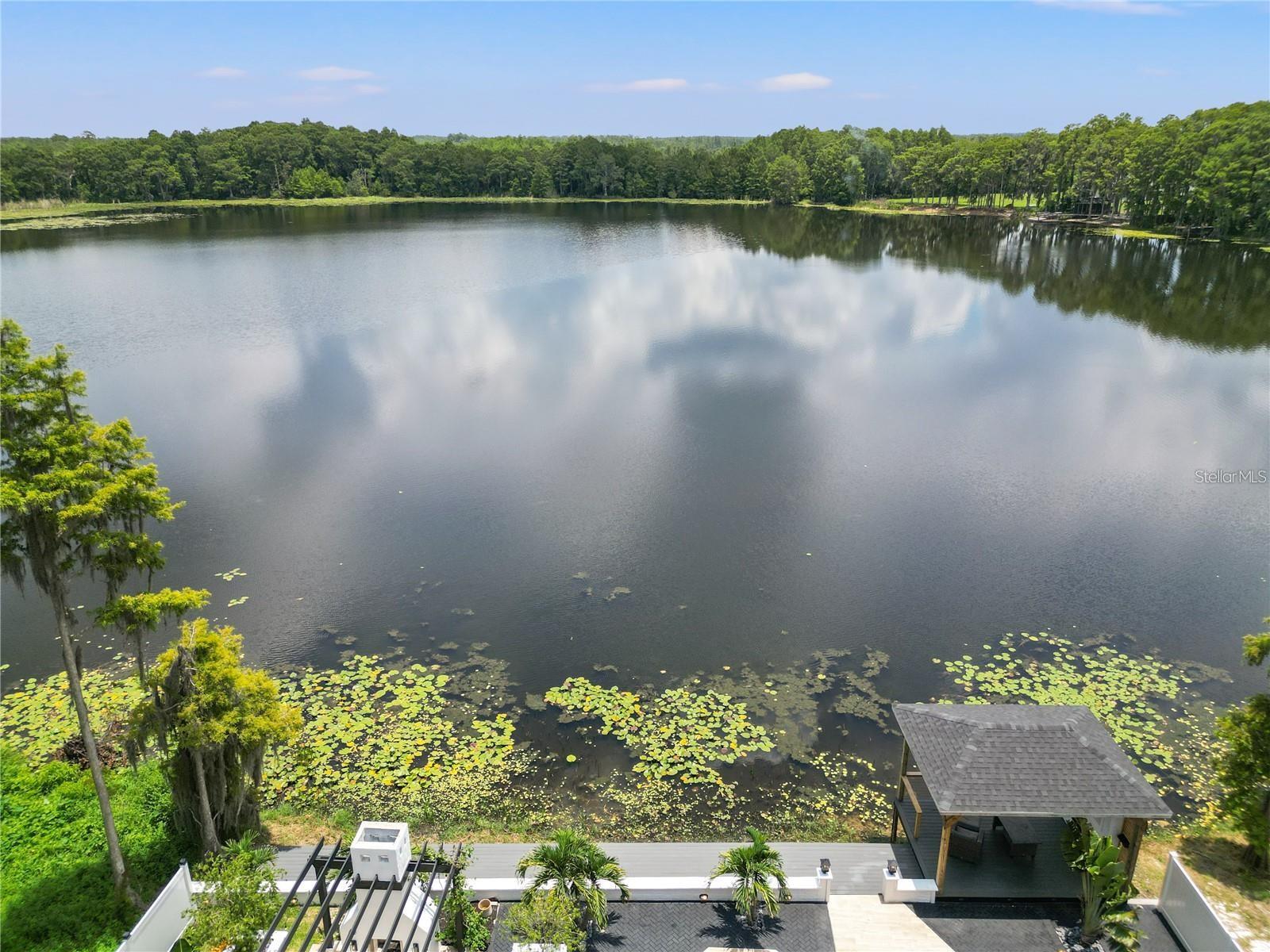 10908 LAND O LAKES BLVD — photo 12