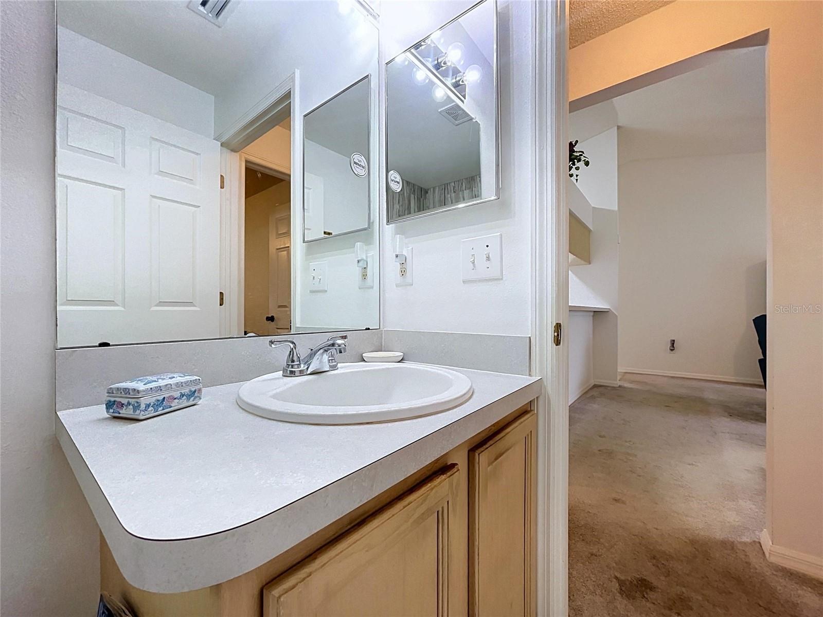 27408 CORAL SPRINGS DR — photo 30