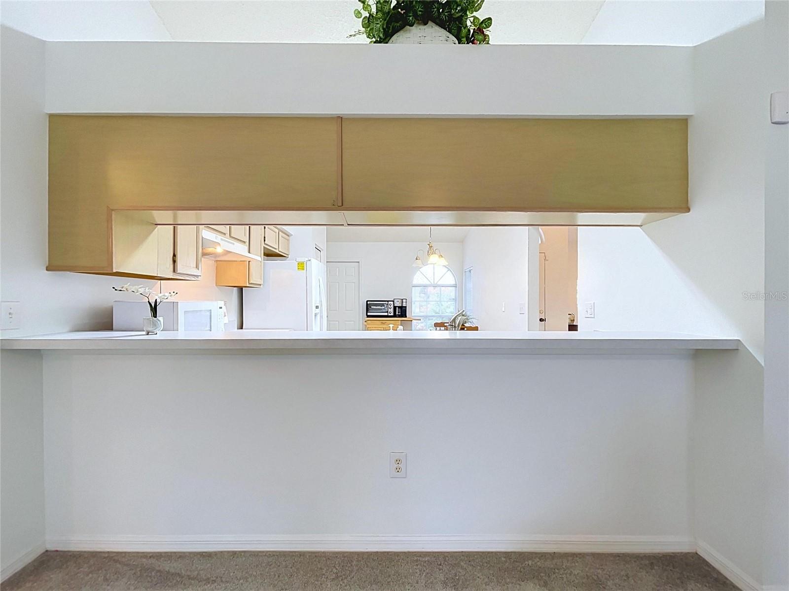 27408 CORAL SPRINGS DR — photo 17
