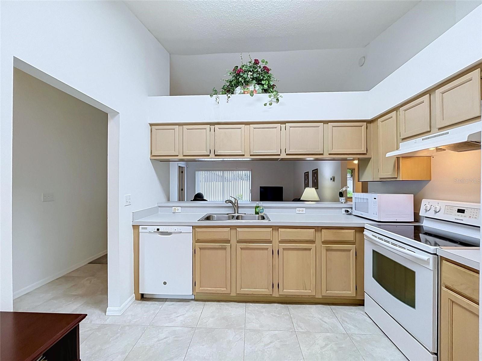 27408 CORAL SPRINGS DR — photo 12
