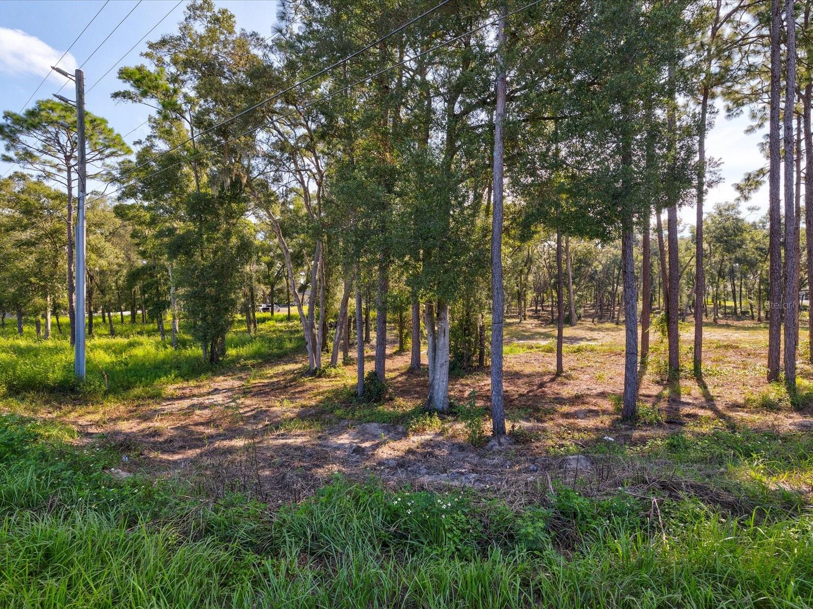 15504 LENWAY RD — photo 6