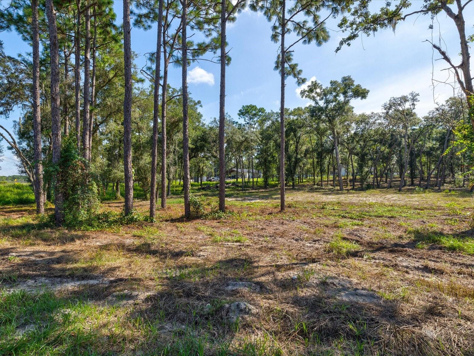 15504 LENWAY RD — photo 4