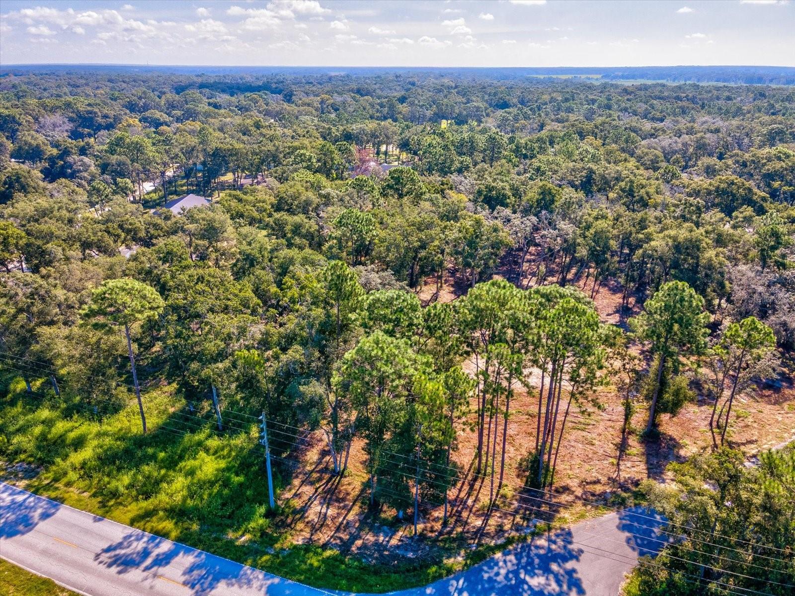 15504 LENWAY RD — photo 16