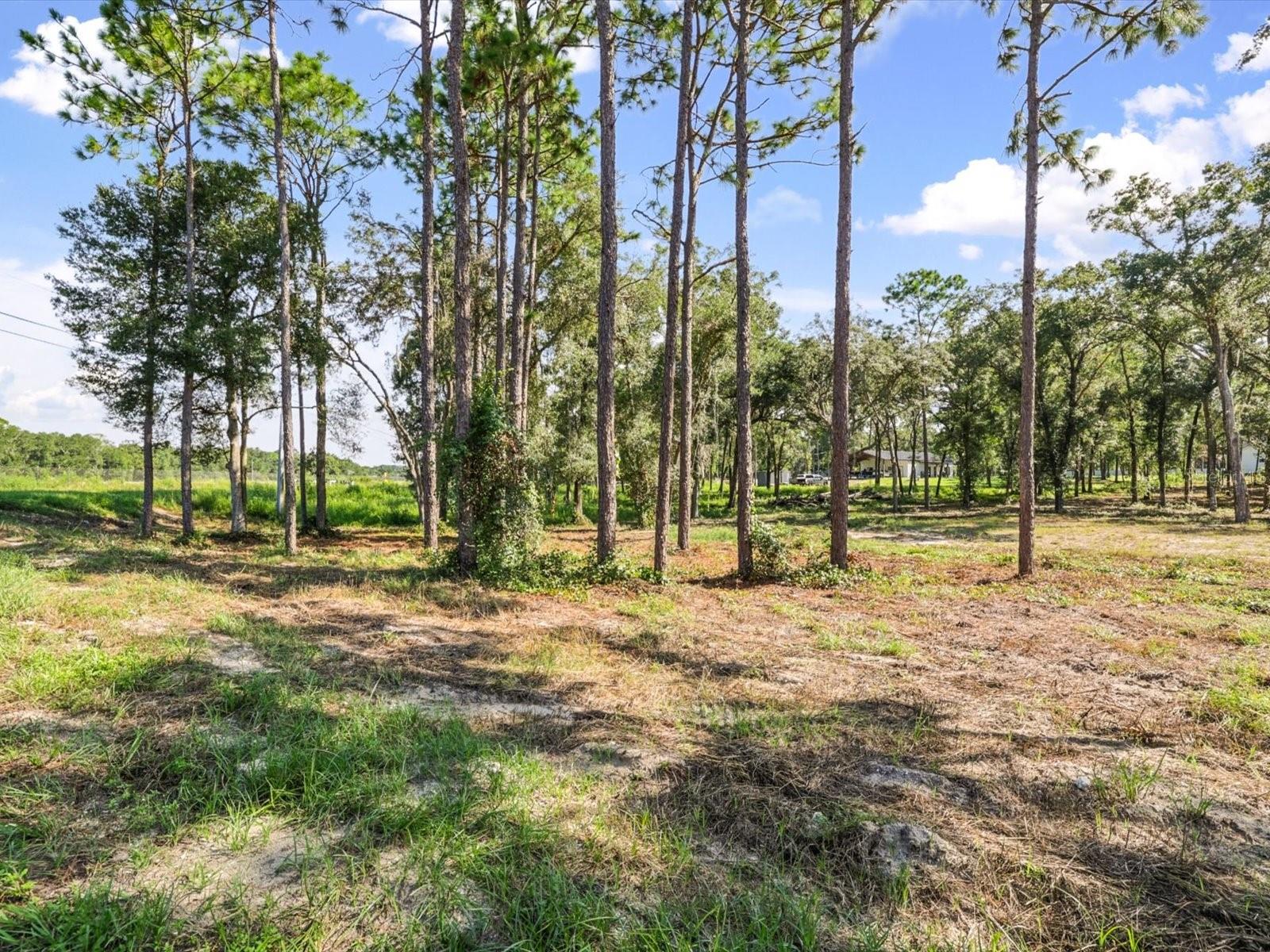 15504 LENWAY RD — photo 3
