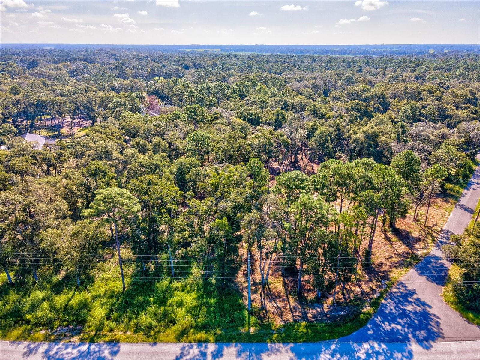 15504 LENWAY RD — photo 17
