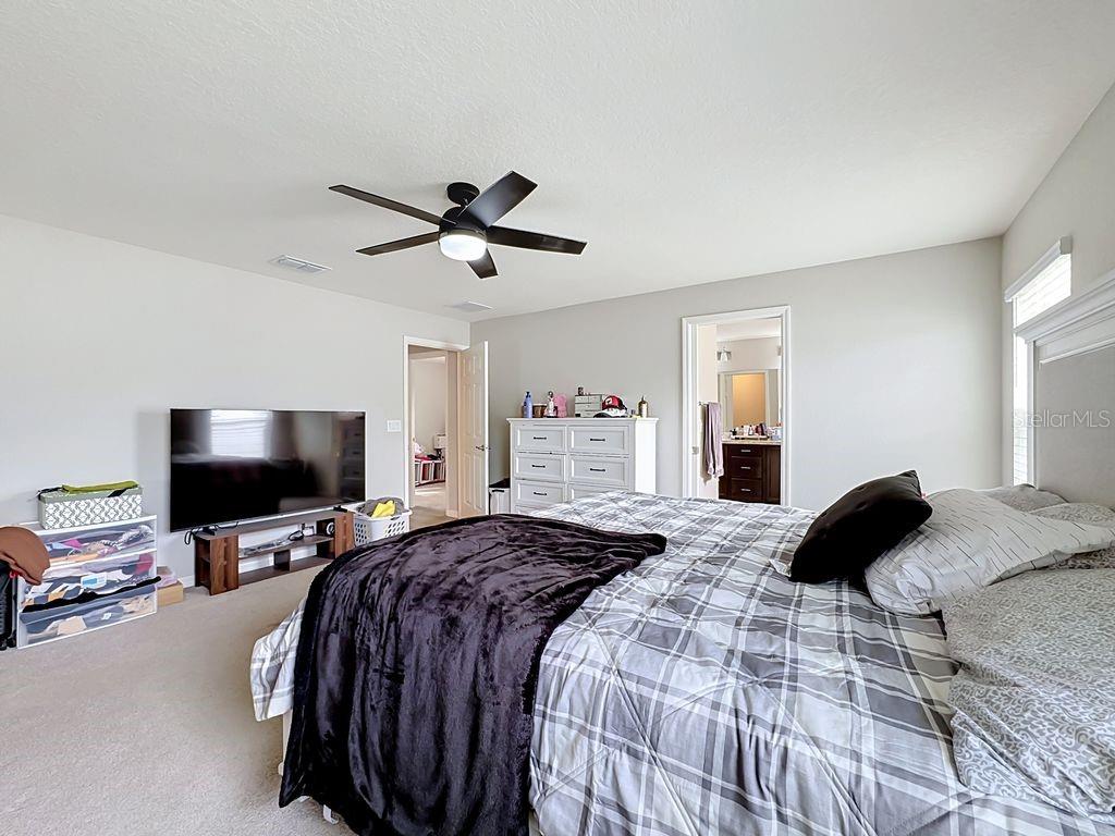 11759 PINK PLUMERIA CT — photo 29