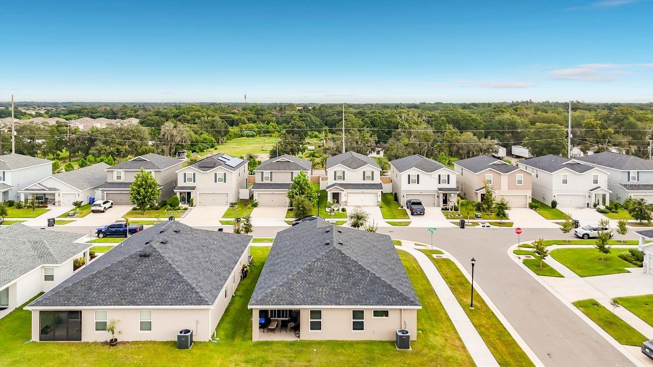 11759 PINK PLUMERIA CT — photo 48