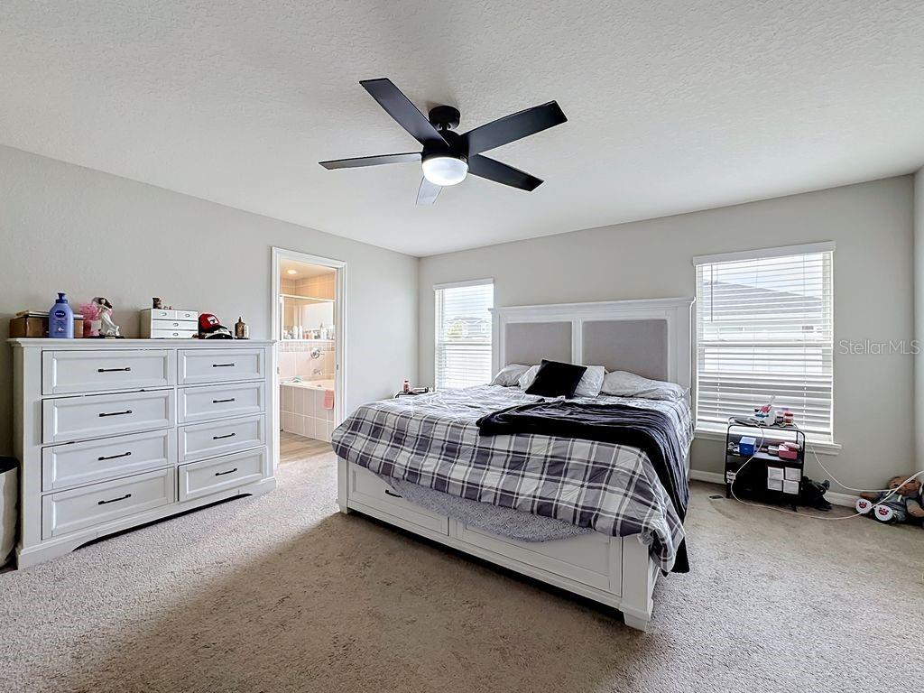 11759 PINK PLUMERIA CT — photo 28