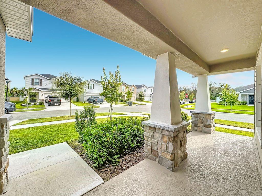 11759 PINK PLUMERIA CT — photo 11