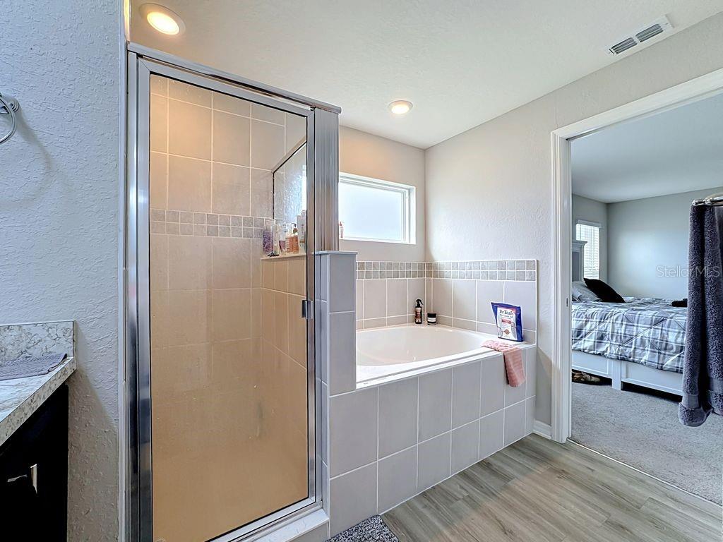 11759 PINK PLUMERIA CT — photo 33