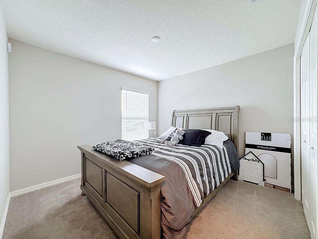 11759 PINK PLUMERIA CT — photo 39