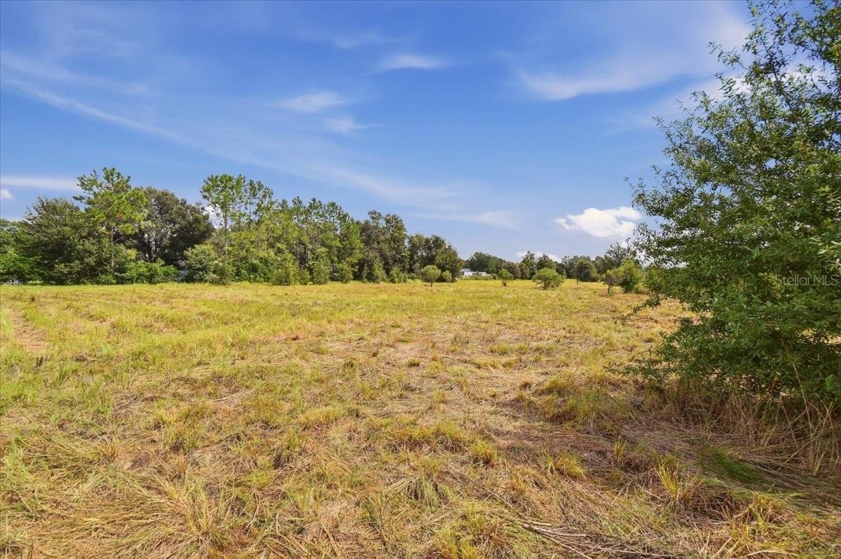 2929 AL SIMMONS RD — photo 17