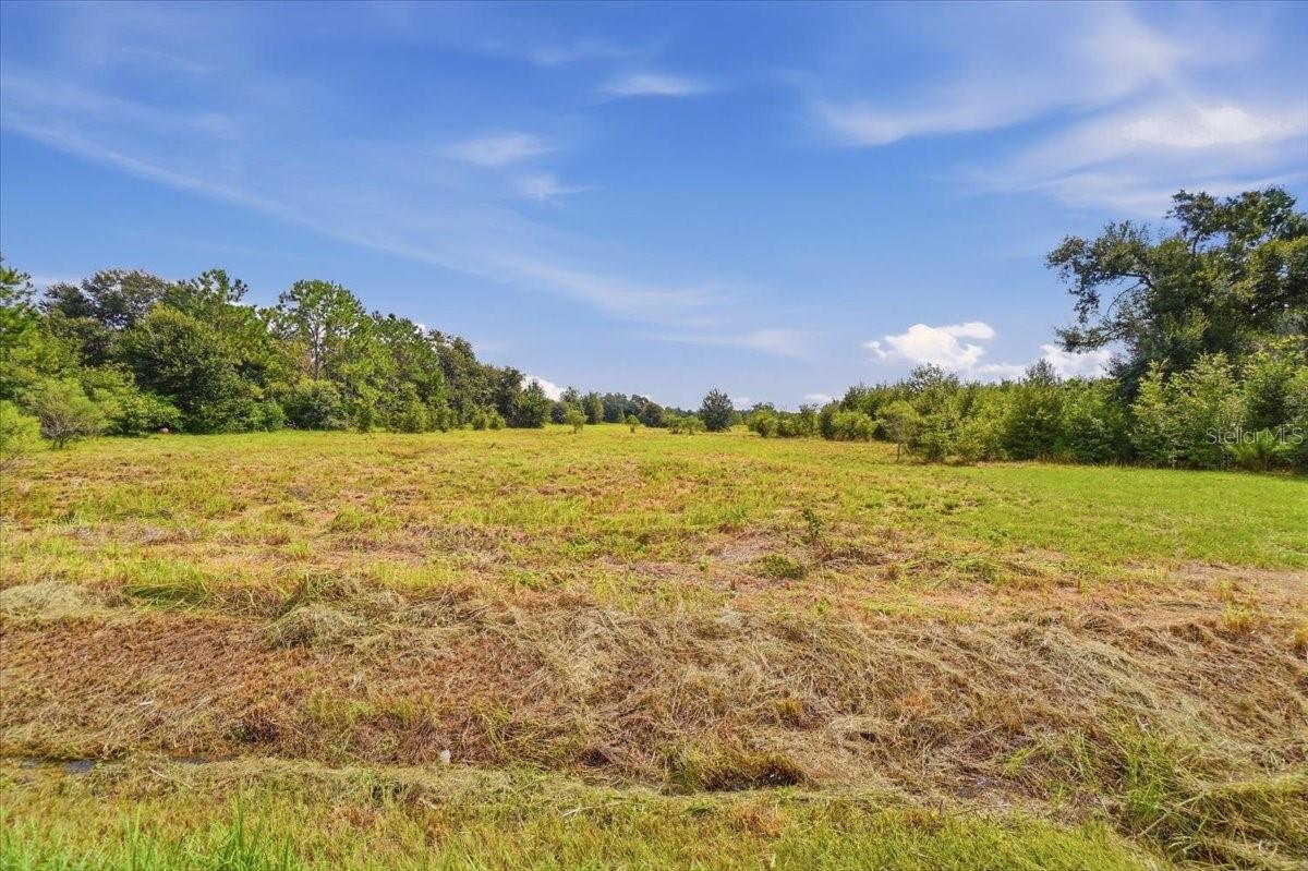 2929 AL SIMMONS RD — photo 15