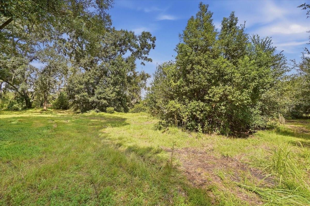 2929 AL SIMMONS RD — photo 2