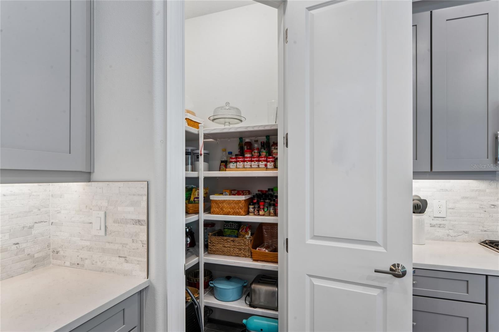 10813 CALLUNA DR — photo 35