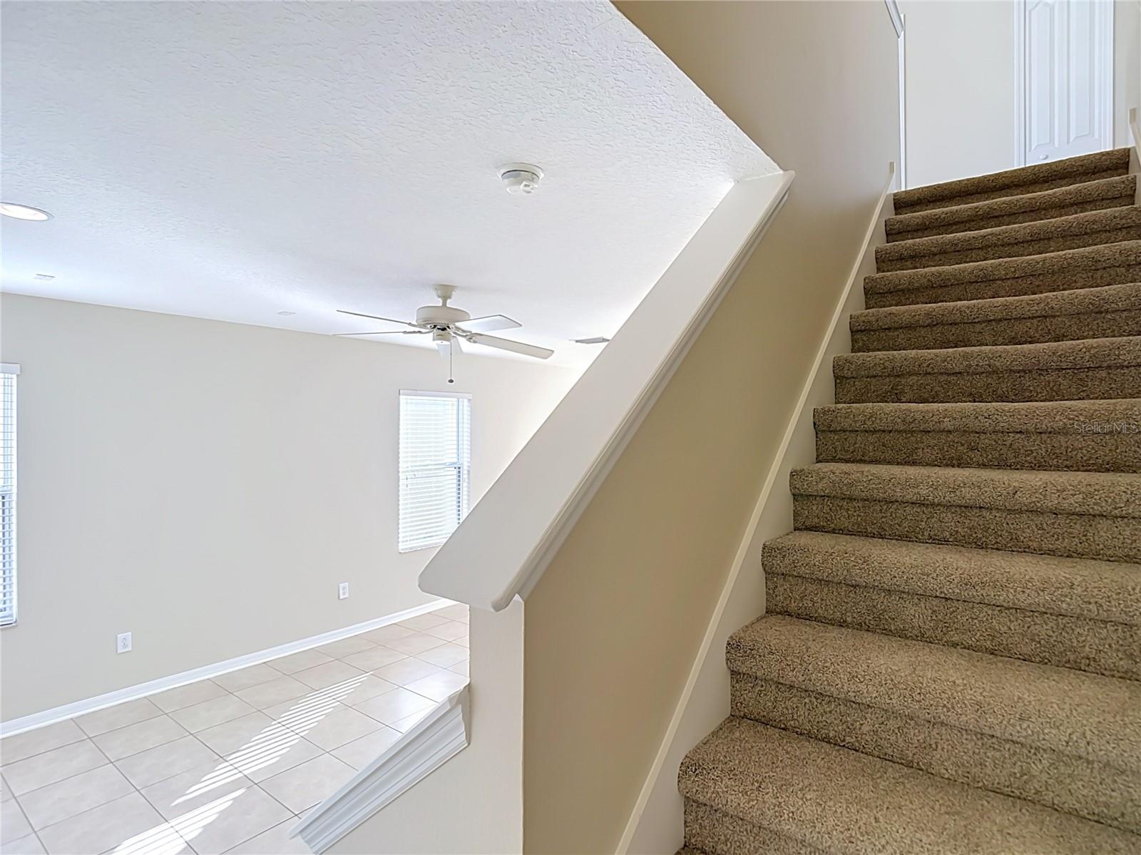 10016 PERTHSHIRE CIR — photo 18