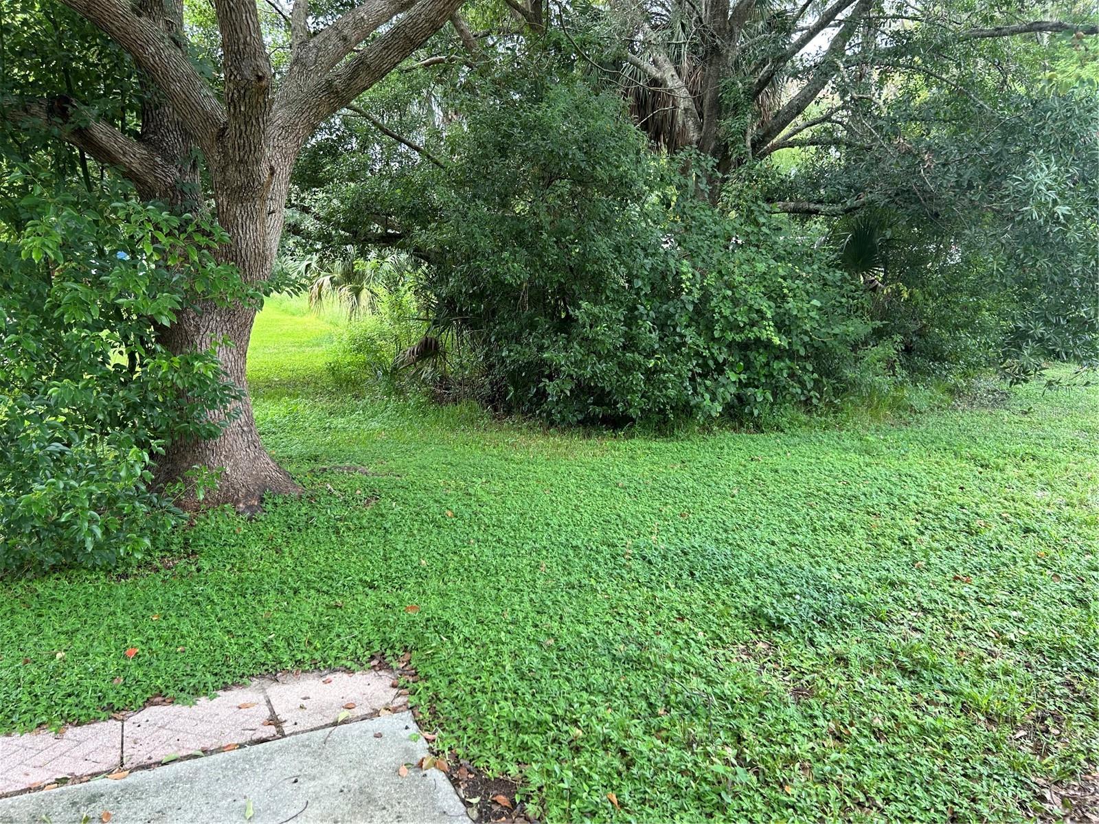 7259 MAGNOLIA VALLEY DR — photo 23