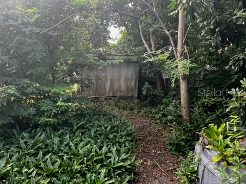 10523 111TH TER N — photo 5