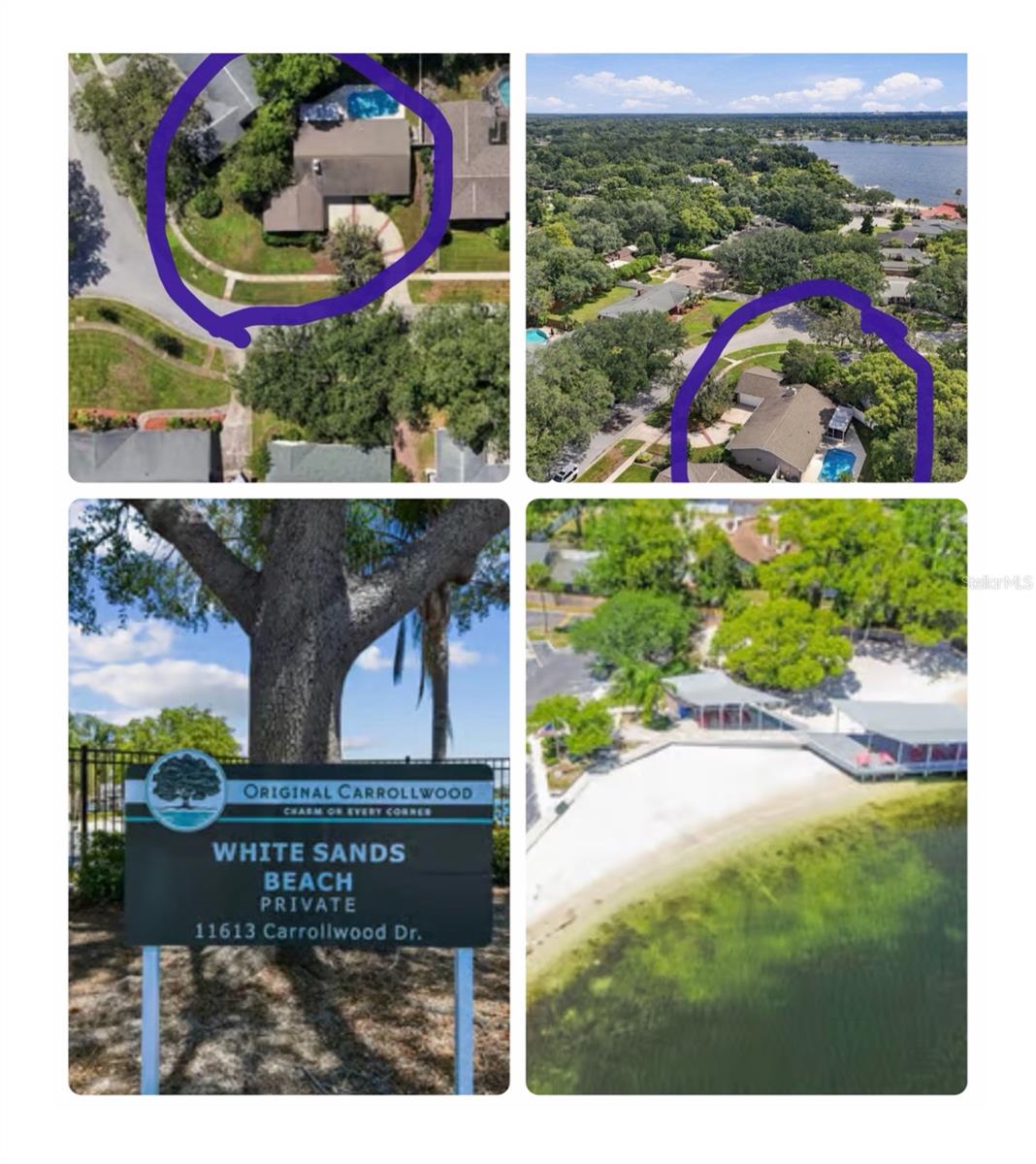 11626 CARROLLWOOD DR — photo 45