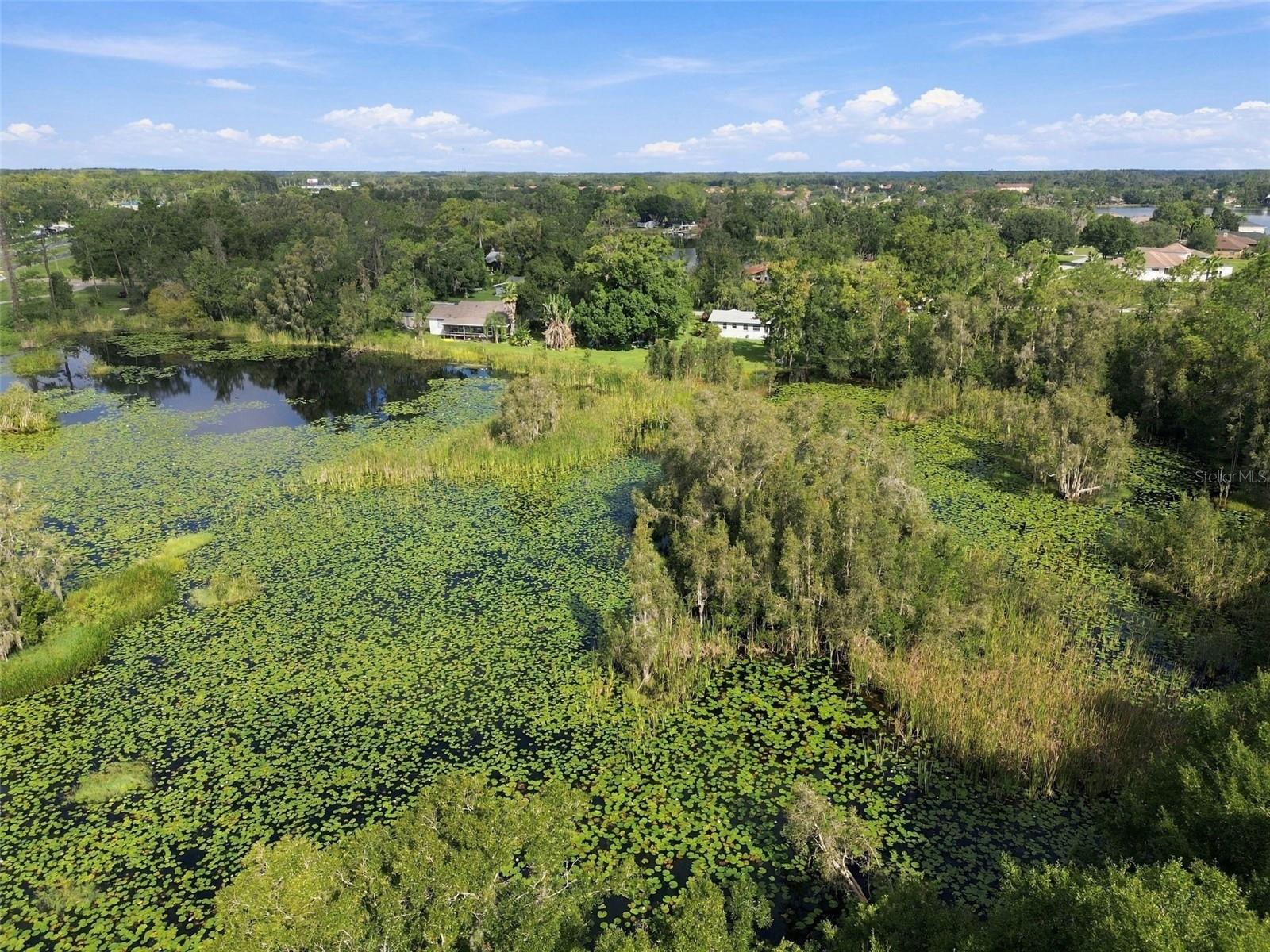 6210 LAND O LAKES BLVD — photo 26